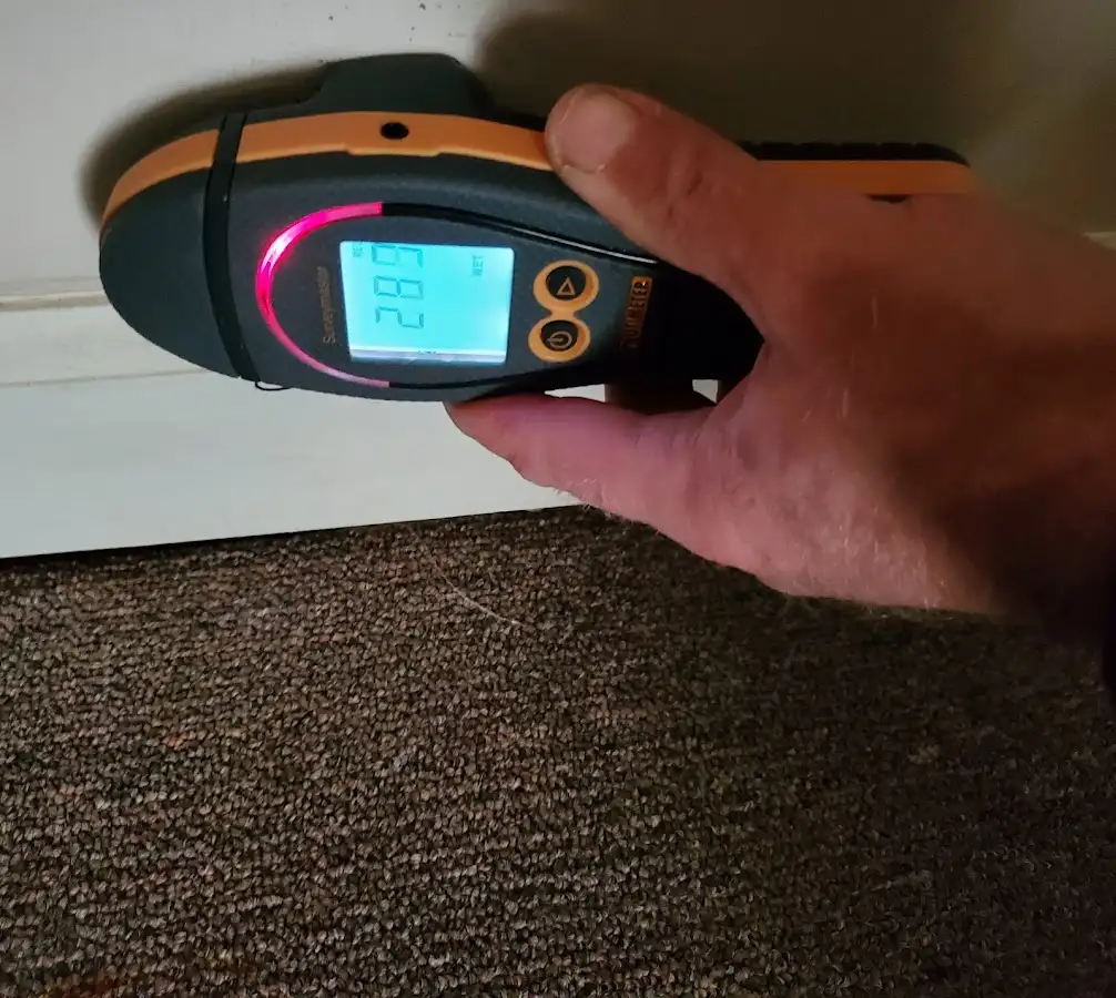 Moisture detection at baseboard during Sewage Cleanup & Sanitation in Huntertown